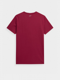 Футболка 4F Tacktile Guiding модель 4FSS23TTSHM309-61S Фото