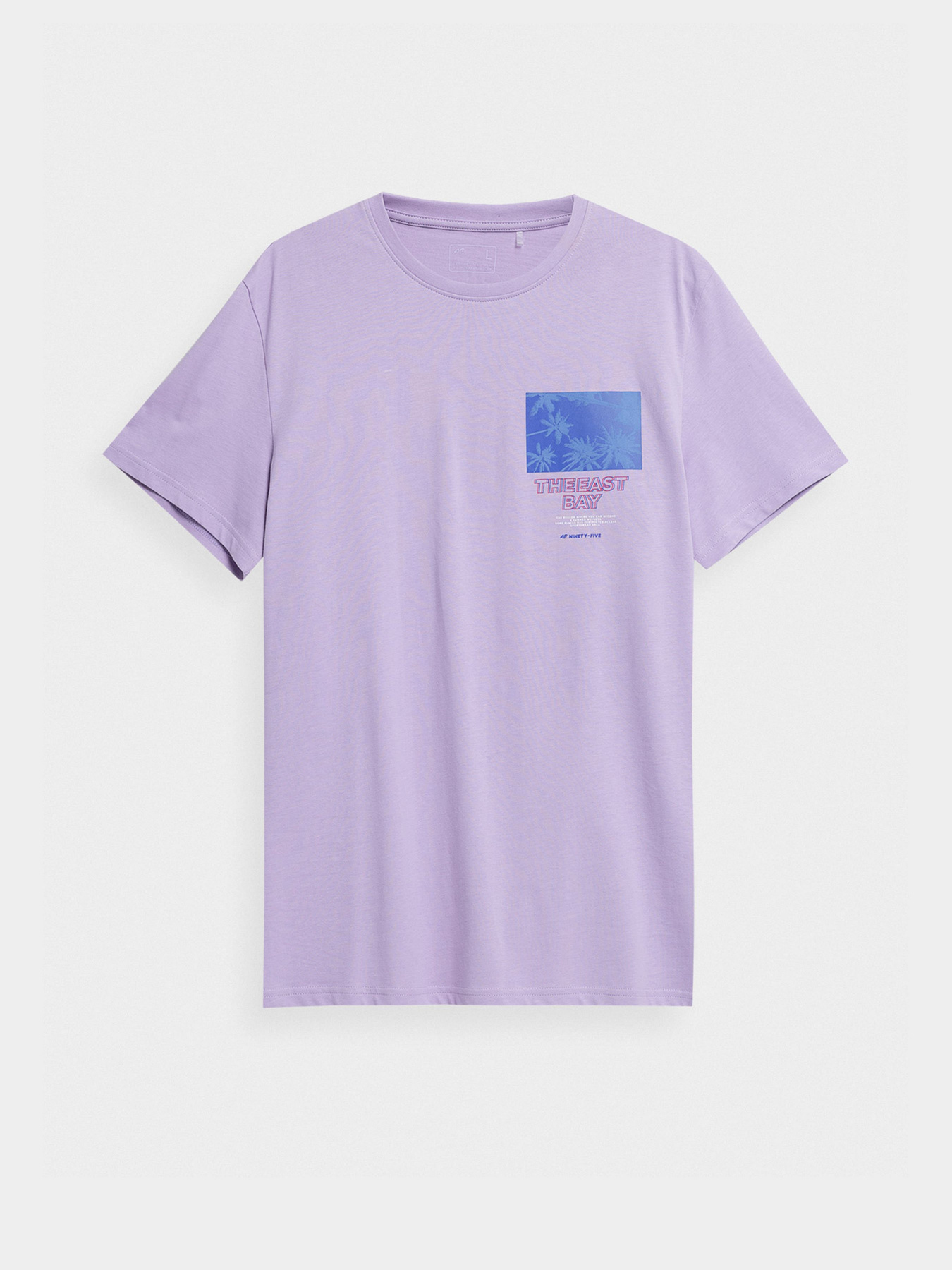 Футболка 4F Digital Witness модель 4FSS23TTSHM362-52S Фото