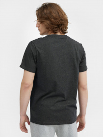 Футболка 4F NOS модель 4FSS23TTSHM536-23M Фото