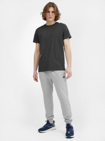 Футболка 4F NOS модель 4FSS23TTSHM536-23M Фото