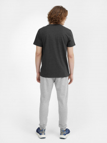 Футболка 4F NOS модель 4FSS23TTSHM536-23M Фото