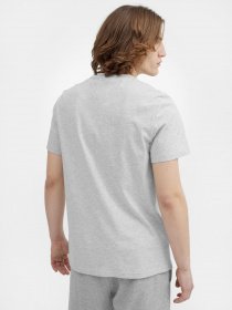 Футболка 4F NOS модель 4FSS23TTSHM536-27M Фото