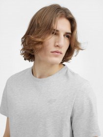 Футболка 4F NOS модель 4FSS23TTSHM536-27M Фото