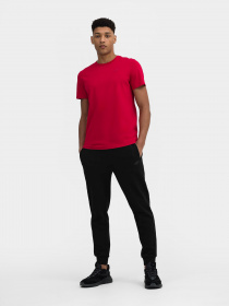 Спортивна футболка 4F NOS модель 4FSS23TTSHM536-62S Фото