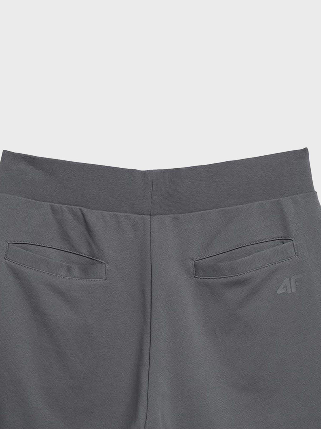 Повседневные шорты 4F Heat Wave модель 4FSS23TSHOM074-22S Фото