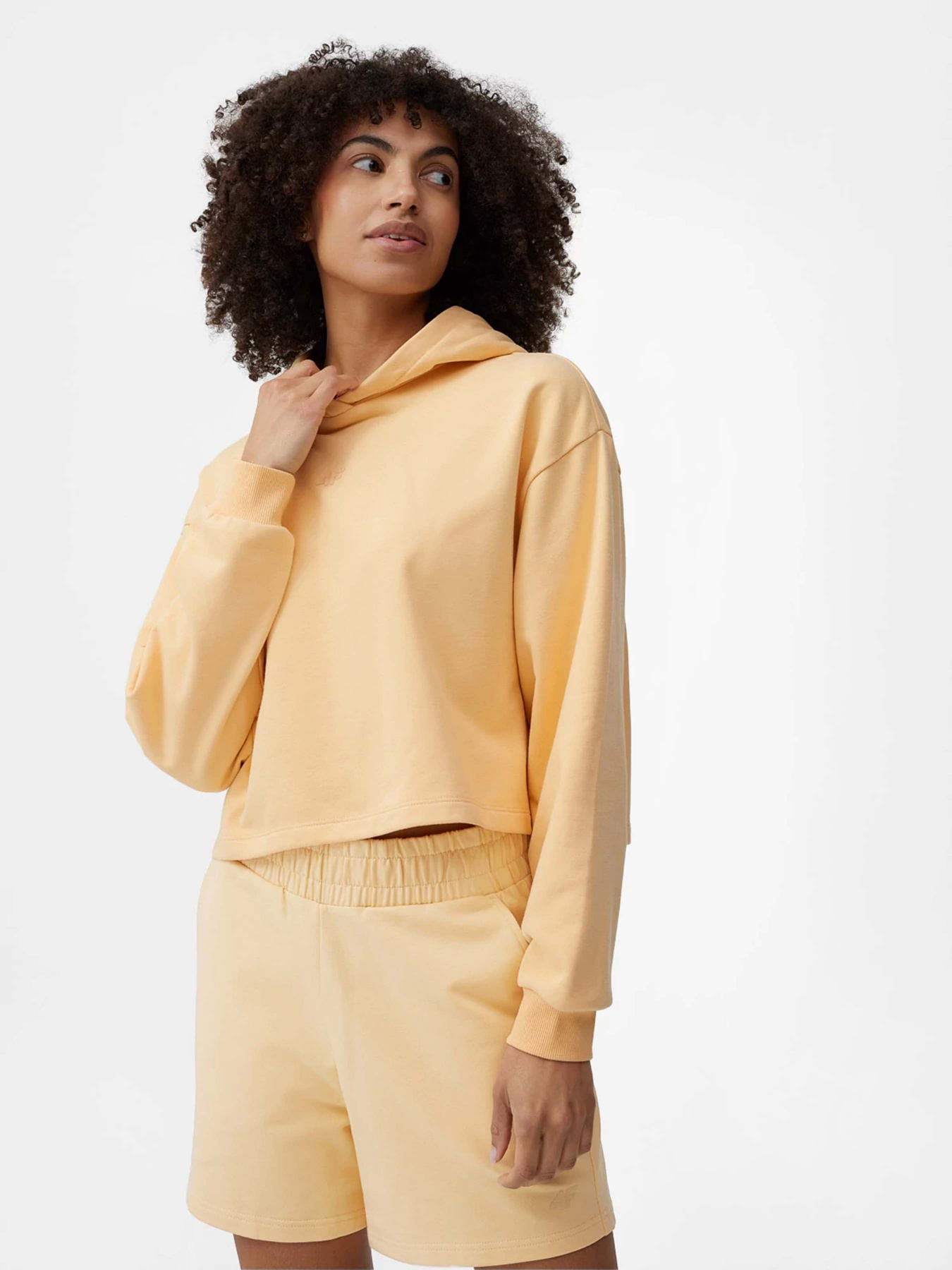 Худі 4F Sports Harmony Модель 4FSS23TSWSF244-73S Фото