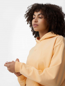 Худі 4F Sports Harmony Модель 4FSS23TSWSF244-73S Фото