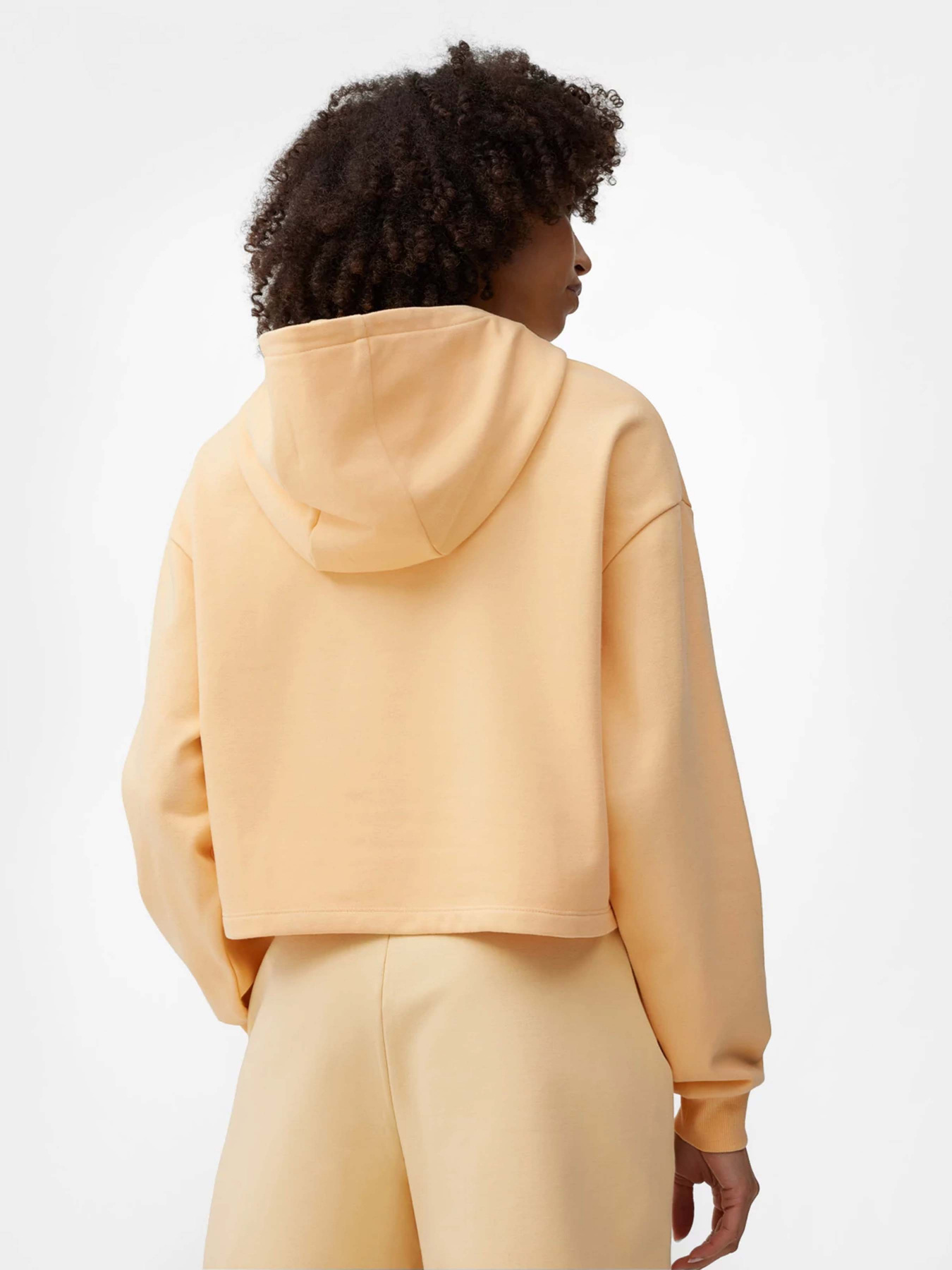 Худи 4F Sports Harmony модель 4FSS23TSWSF244-73S Фото