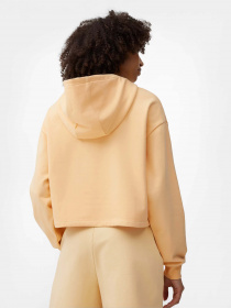 Худи 4F Sports Harmony модель 4FSS23TSWSF244-73S Фото