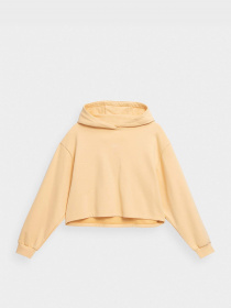 Худи 4F Sports Harmony модель 4FSS23TSWSF244-73S Фото