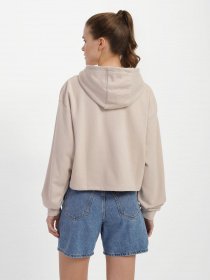 Худи 4F Sports Harmony модель 4FSS23TSWSF244-83S Фото