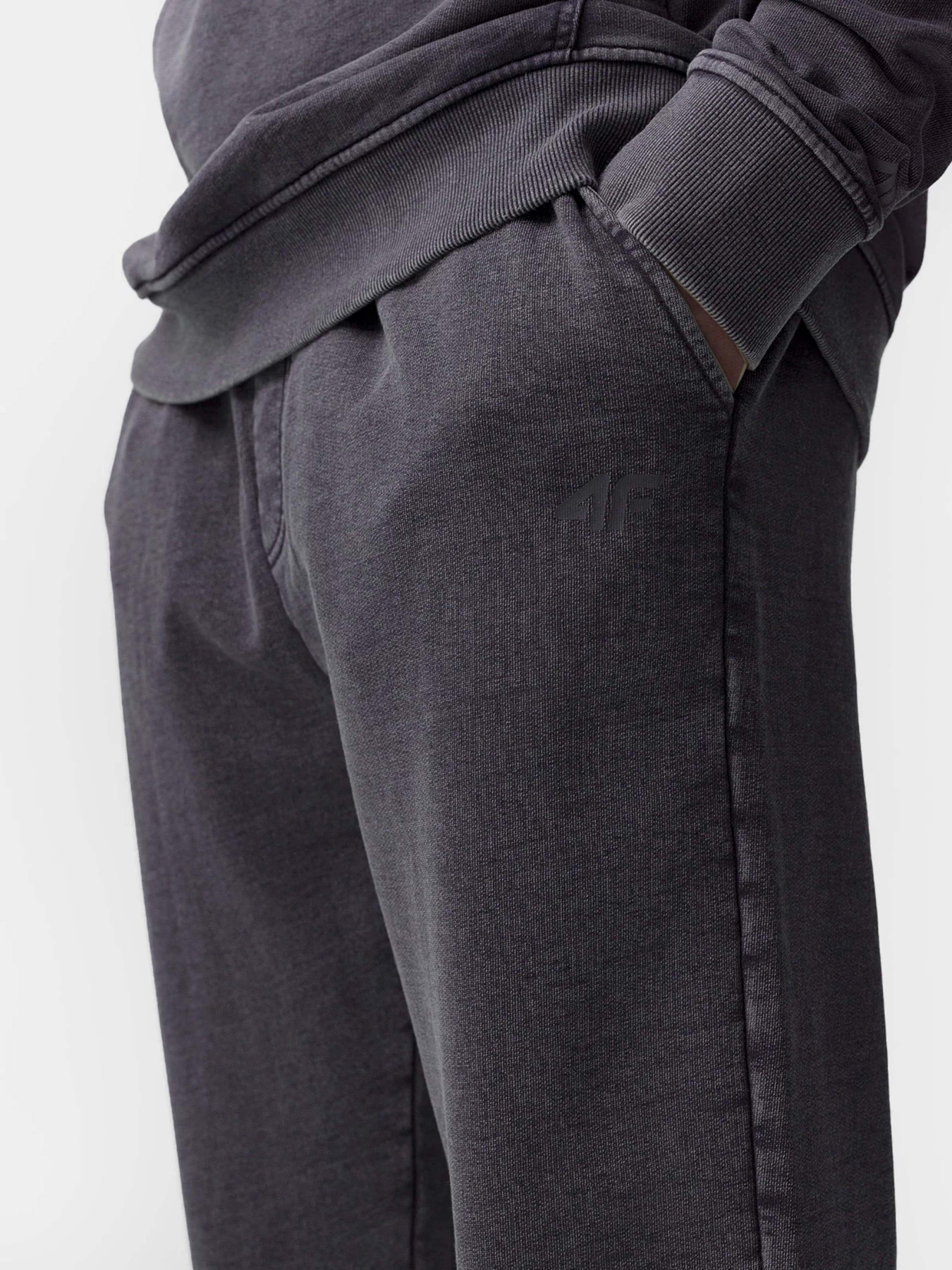 Штаны спортивные 4F модель 4FSS23TTROM134-22S Фото