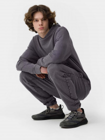 Штаны спортивные 4F модель 4FSS23TTROM134-22S Фото