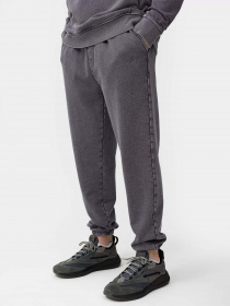 Штаны спортивные 4F модель 4FSS23TTROM134-22S Фото