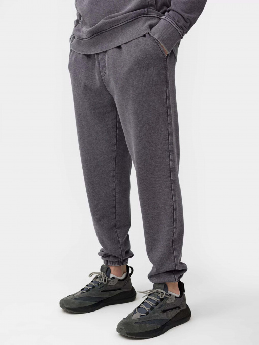 Штани спортивні 4F модель 4FSS23TTROM134-22S Фото