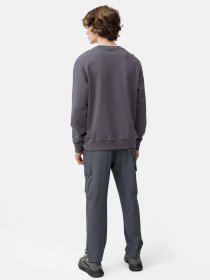 Карго 4F Modern Explorer модель 4FSS23TTROM136-22S Фото