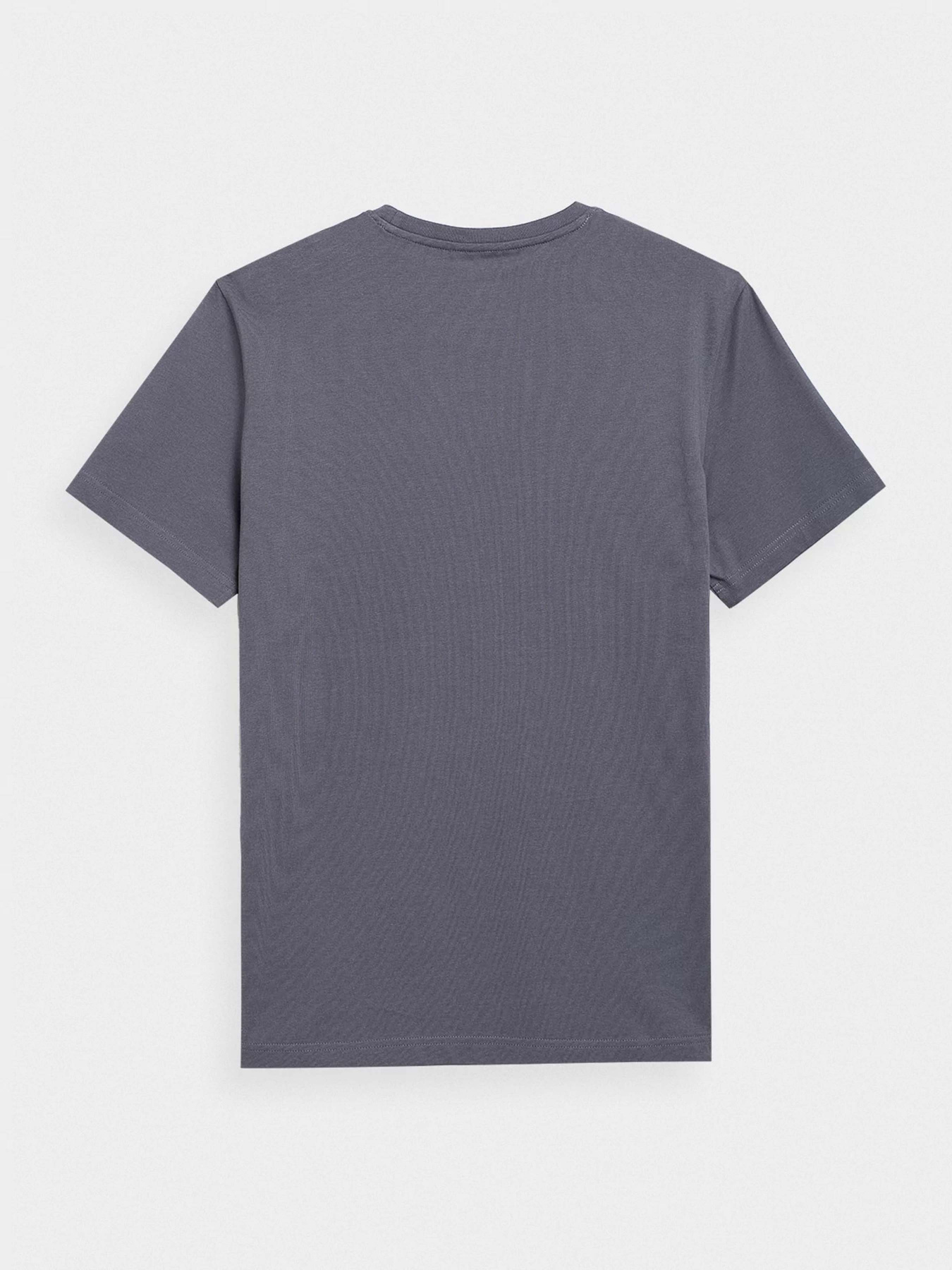 Футболка 4F Modern Explorer модель 4FSS23TTSHM297-22S Фото