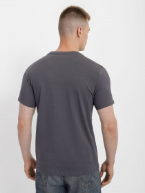 Футболка 4F Modern Explorer модель 4FSS23TTSHM297-22S Фото