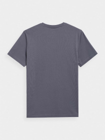 Футболка 4F Modern Explorer модель 4FSS23TTSHM297-22S Фото