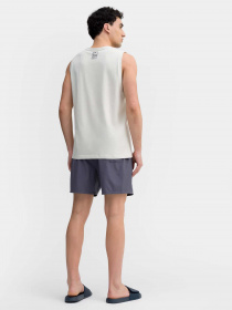 Шорты 4F модель 4FSS23UBDSM022-22S Фото