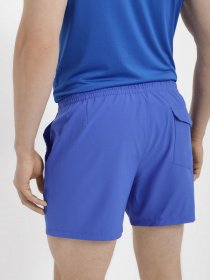 Повсякденні шорти 4F модель 4FSS23UBDSM022-36S Фото