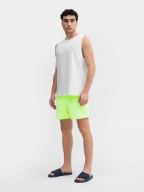 Повседневные шорты 4F Retro Riviera модель 4FSS23UBDSM022-45N Повседневные шорты 4F Retro Riviera модель 4FSS23UBDSM022-45N Фото