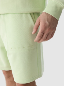 Шорты 4F Cas M330 модель 4FWSS24TSHOM330-42S Фото