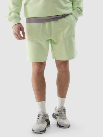 Шорты 4F Cas M330 модель 4FWSS24TSHOM330-42S Фото