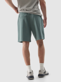 Шорты 4F Cas M330 модель 4FWSS24TSHOM330-43S Фото