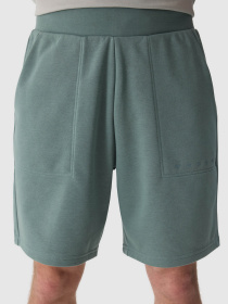 Шорты 4F Cas M330 модель 4FWSS24TSHOM330-43S Фото