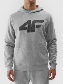 Худі 4F M0950 модель 4FWSS24TSWSM0950-27M Худі 4F M0950 модель 4FWSS24TSWSM0950-27M Фото