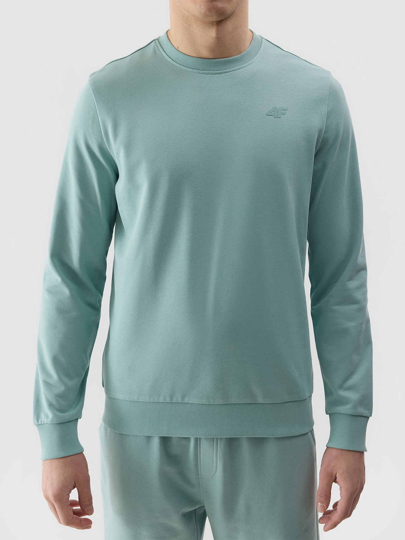 Світшот 4F M1181 Модель 4FWSS24TSWSM1181-47S Фото