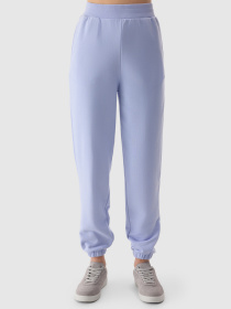 Штаны спортивные 4F CAS F666 модель 4FWSS24TTROF666-34S Фото