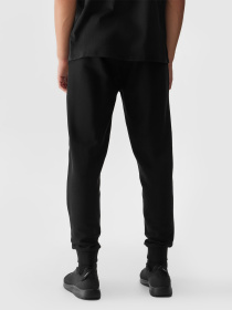 Штаны спортивные 4F Cas M603 модель 4FWSS24TTROM603-20S Фото