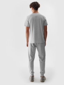 Штаны спортивные 4F Cas M603 модель 4FWSS24TTROM603-27M Фото