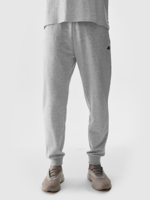 Штани спортивні 4F Cas M603 модель 4FWSS24TTROM603-27M Фото