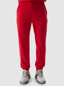 Штани спортивні 4F Cas M603 Модель 4FWSS24TTROM603-61S Фото