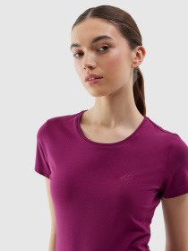 Футболка 4F F1161 модель 4FWSS24TTSHF1161-51S Футболка 4F F1161 модель 4FWSS24TTSHF1161-51S Фото