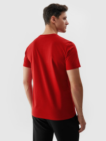 Футболка 4F M1154 модель 4FWSS24TTSHM1154-61S Фото