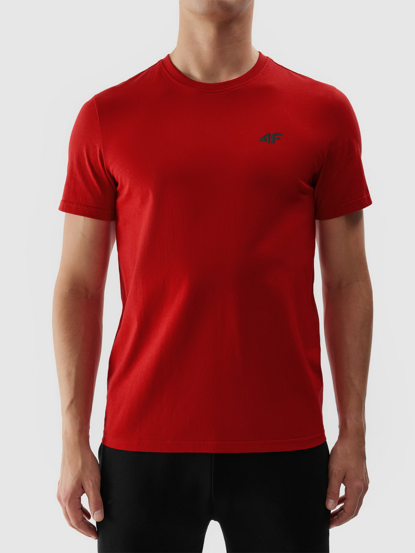 Футболка 4F M1154 модель 4FWSS24TTSHM1154-61S Фото