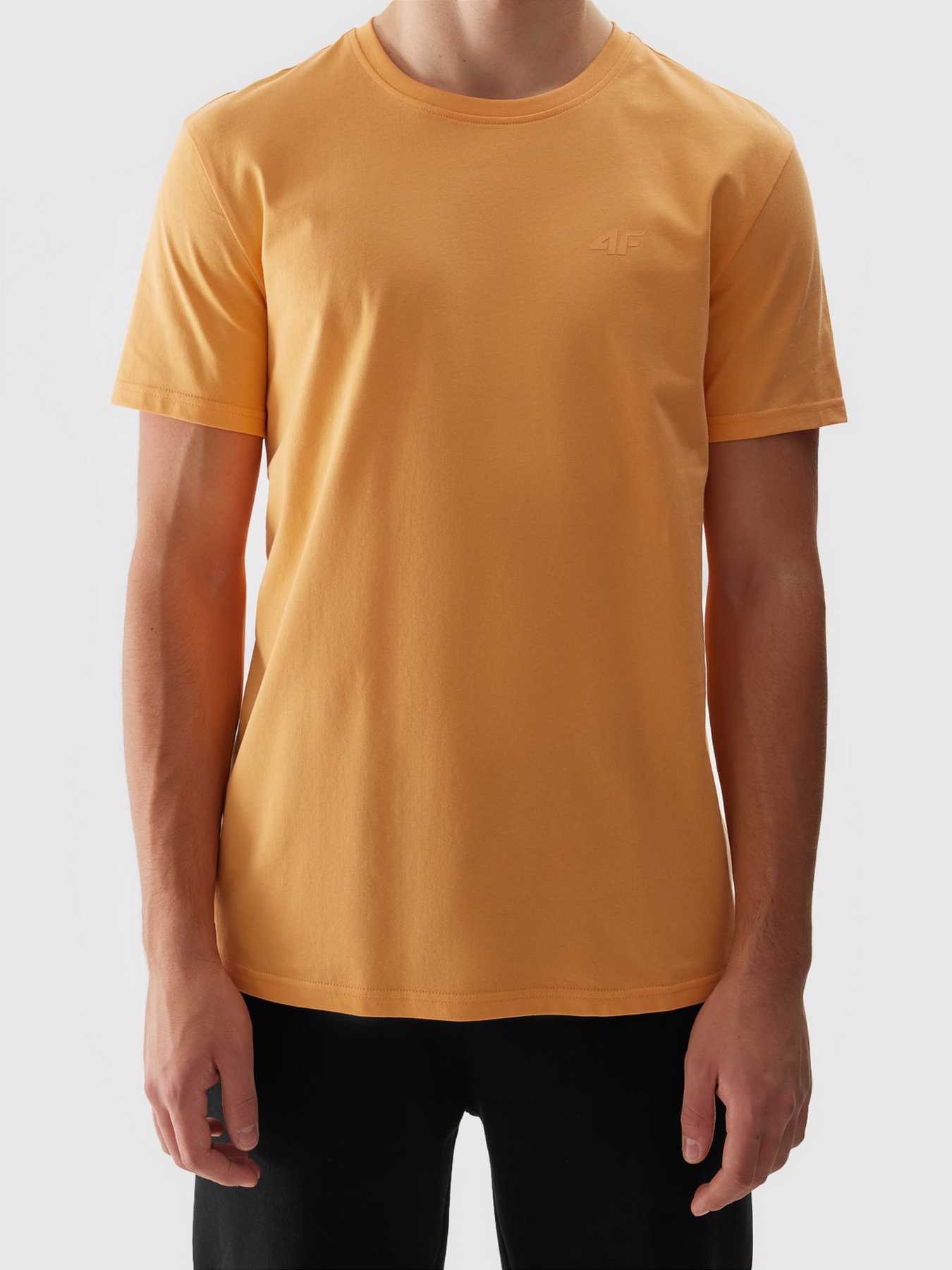 Футболка 4F M1154 модель 4FWSS24TTSHM1154-64S Фото