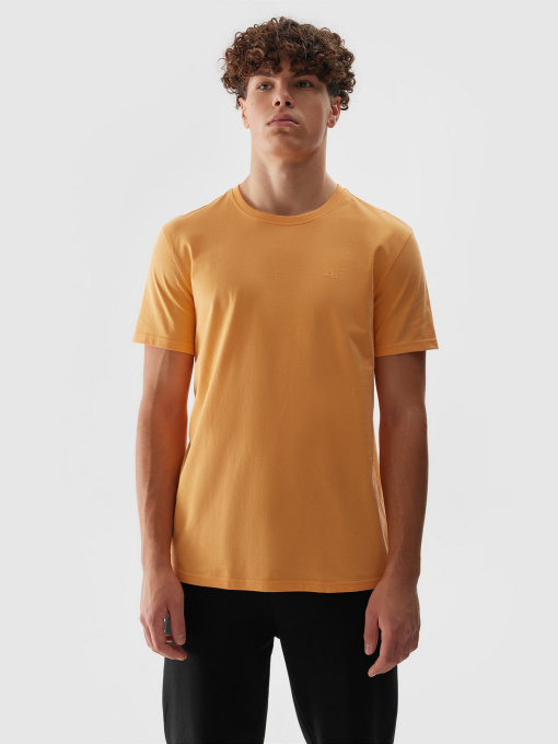 Футболка 4F M1154 модель 4FWSS24TTSHM1154-64S Фото