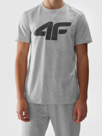 Футболка 4F M1155 модель 4FWSS24TTSHM1155-27M Фото
