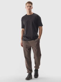 Футболка 4F M1316 модель 4FWSS24TTSHM1316-20S Фото