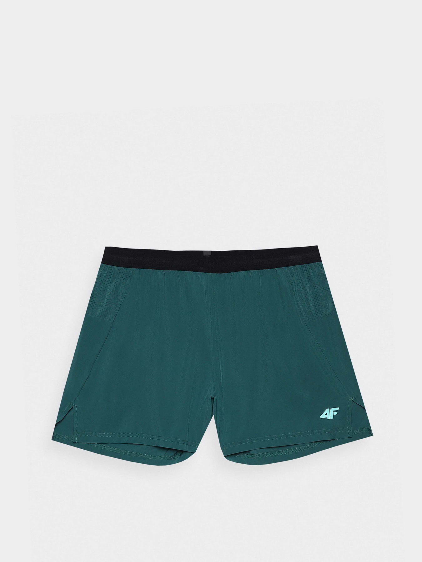 Повсякденні шорти 4F M490 модель 4FWSS24TFSHM490-46S Фото