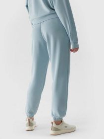 Штаны спортивные 4F F642 модель 4FWSS24TTROF642-34S Фото