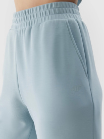 Штаны спортивные 4F F642 модель 4FWSS24TTROF642-34S Фото