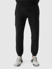 Штаны спортивные 4F M645 модель 4FWSS24TTROM645-20S Фото