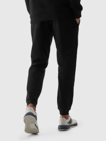 Спортивні штани 4F M645 модель 4FWSS24TTROM645-20S Фото