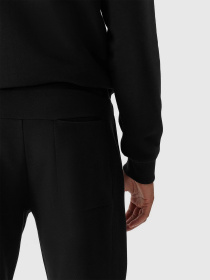 Спортивні штани 4F M645 модель 4FWSS24TTROM645-20S Фото